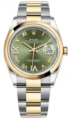 126203 Olive Green VI IX Roman Oyster