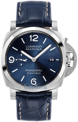 pam01313